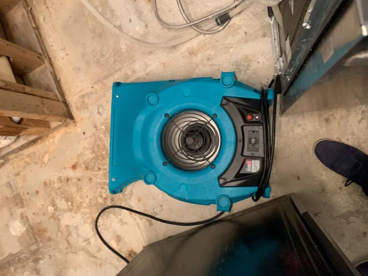 Air mover drying equipment for Mold Remediation & Removal in Streator