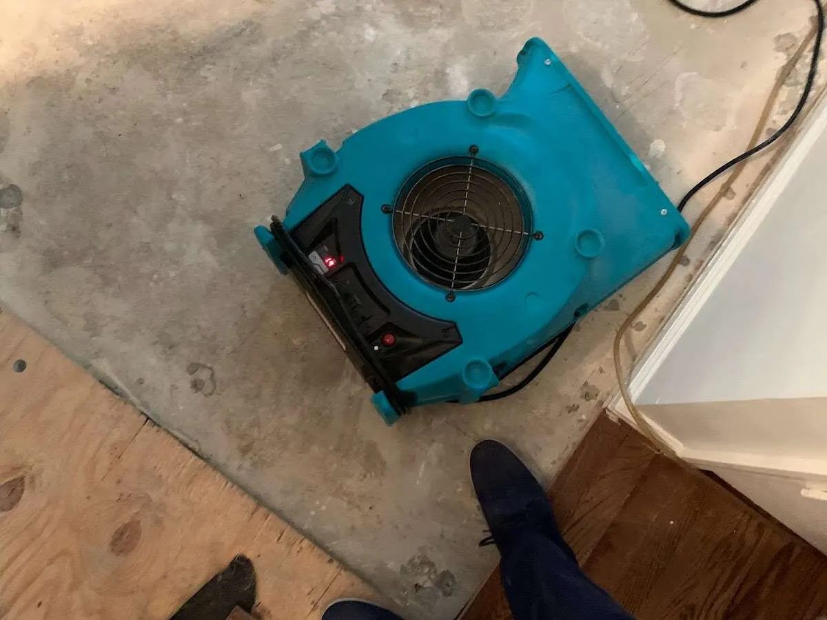 Air mover drying subfloor during Leak Detection & Repair in Streator
